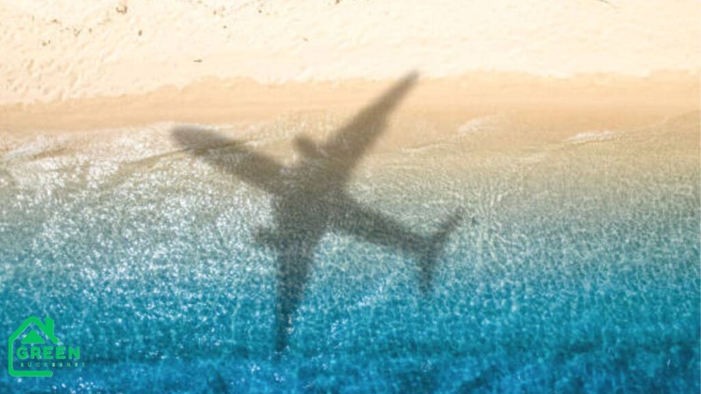 Thehometrotters Trisha