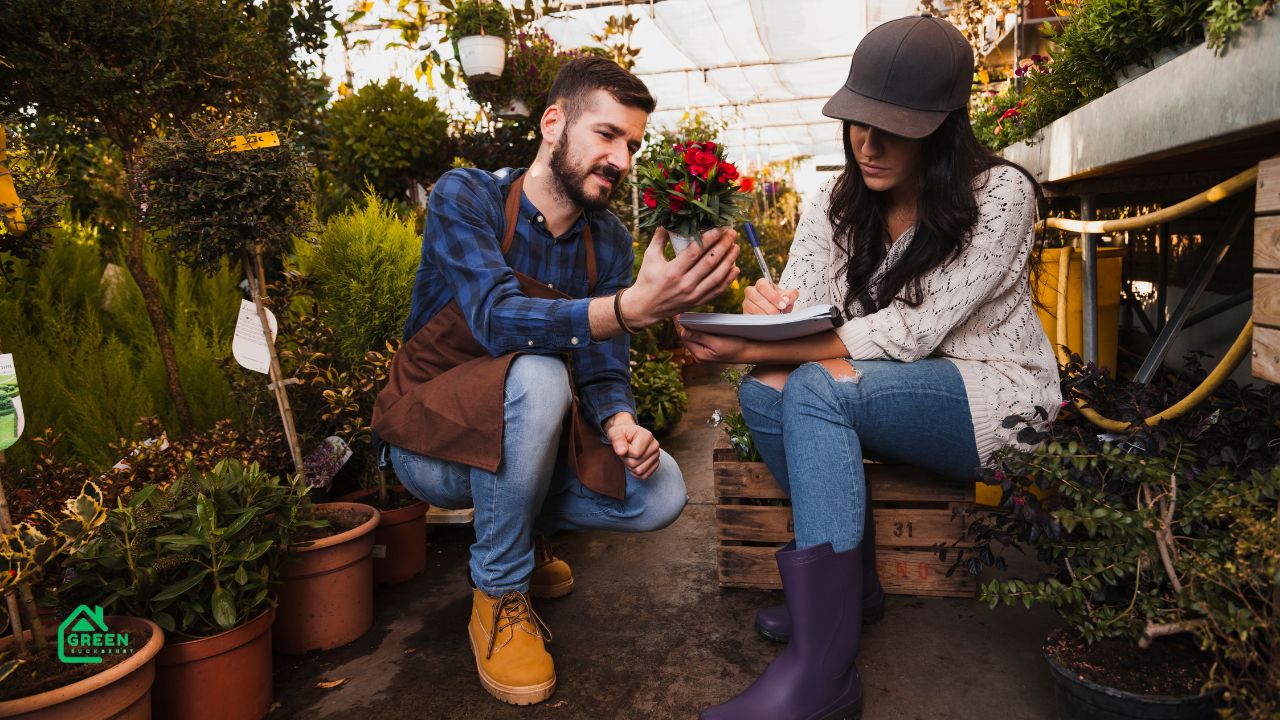 garden web home decorating conversations