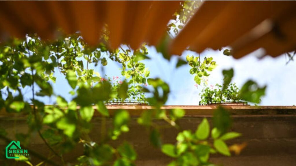 Lawn Edging Ideas from Home Depot