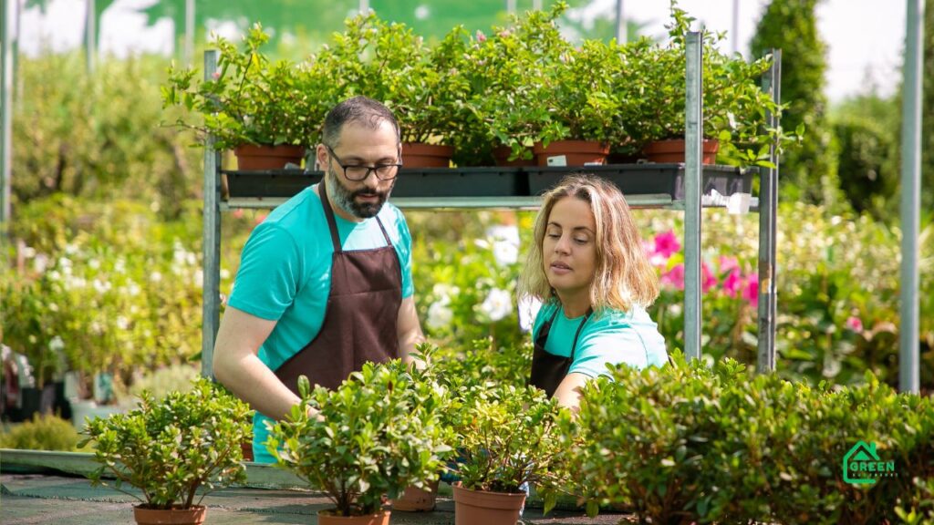 garden advice homenumental